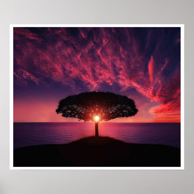 Fiery Sunset Tree Silhouette Poster (Front)