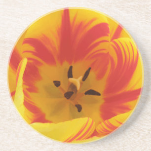 Fiery Tulip Coasters