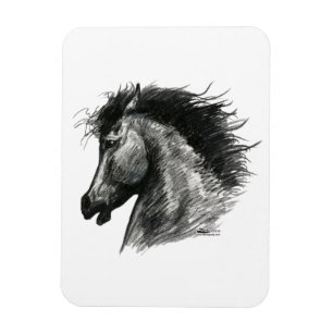 Fiery Wild Horse Magnet