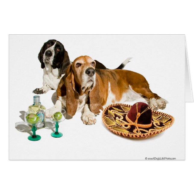 Fiesta Basset Card (Front Horizontal)