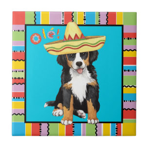 Fiesta Berner Tile