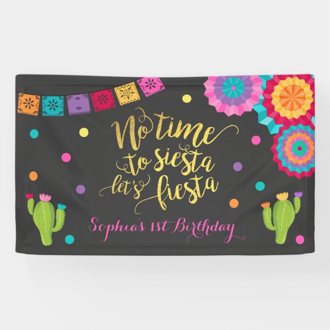 Fiesta Birthday Party Banner No Time To Siesta (Horizontal)