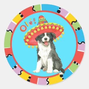 Fiesta Border Collie Classic Round Sticker
