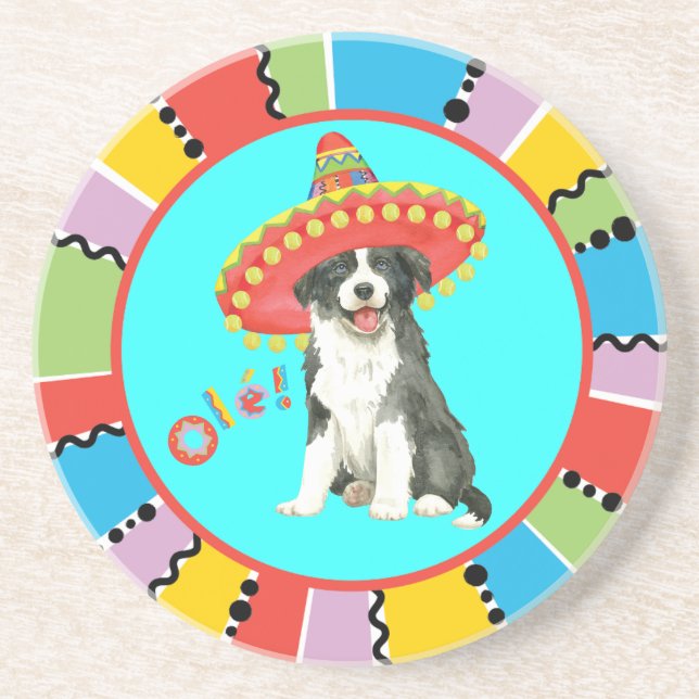 Fiesta Border Colllie Coaster (Front)