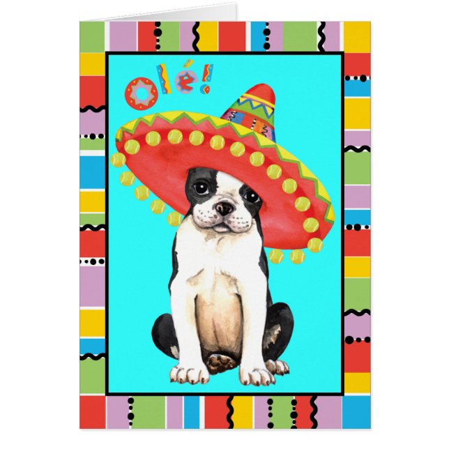 Fiesta Boston Terrier (Front)