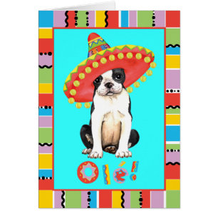 Fiesta Boston Terrier Greeting Card