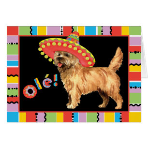 Fiesta Cairn Terrier Greeting Card