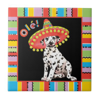 Fiesta Dalmatian