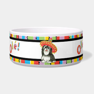 Fiesta Havanese