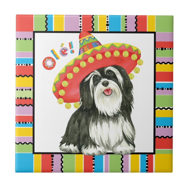 Fiesta Havanese Tile (Front)