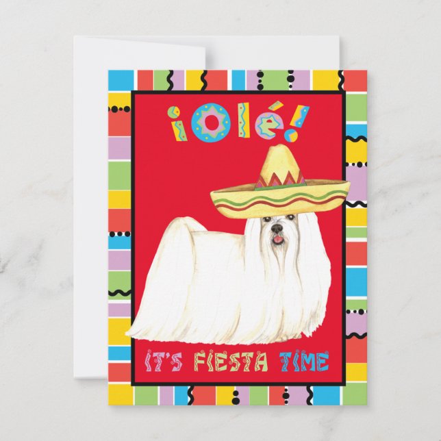 Fiesta Maltese Invitation (Front)