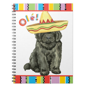 Fiesta Newfoundland Notebook