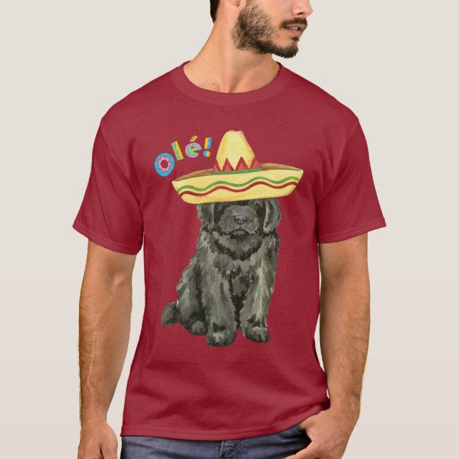 Fiesta Newfoundland T-Shirt (Front)