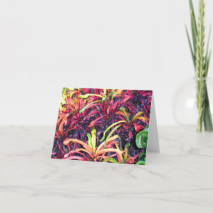 Fiesta of Colour Note Card