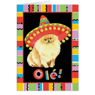 Fiesta Pomeranian Greetimg Card