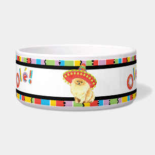 Fiesta Pomeranian Pet