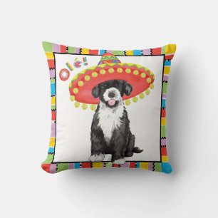 Fiesta PWD Cushion