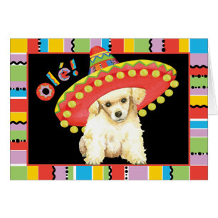 Fiesta Toy Poodle Greeting Card