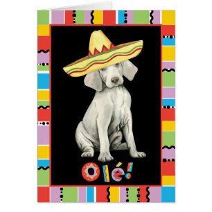 Fiesta Weimaraner Greeting Card