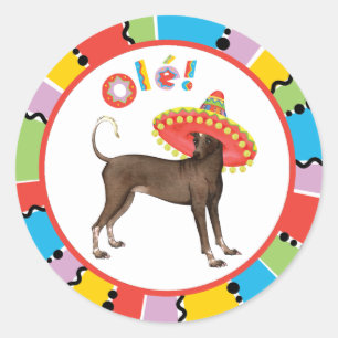 Fiesta Xolo Classic Round Sticker