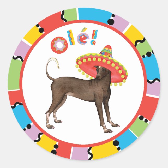 Fiesta Xolo Classic Round Sticker (Front)