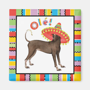 Fiesta Xolo Magnet