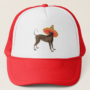 Fiesta Xolo Trucker Hat