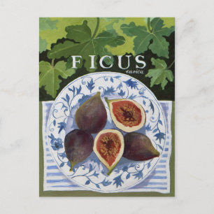 Fieus Postcard