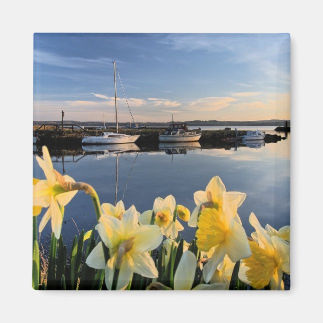 Fife, Scotland scenic photograph Magnet (Front)