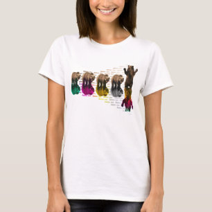 FifthBear diagonal T-Shirt