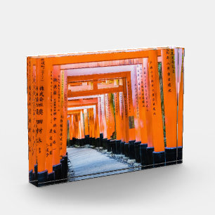 Fifty shades of orange - Senbon Torii, Kyoto Photo Block