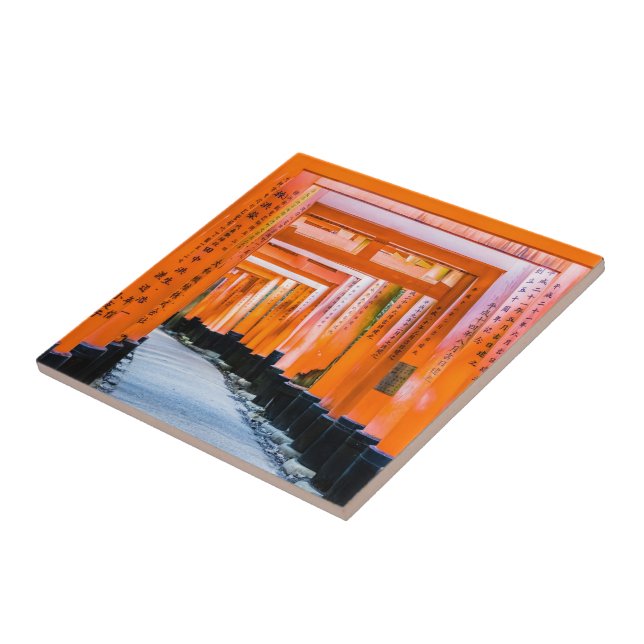 Fifty shades of orange - Senbon Torii, Kyoto Tile (Side)