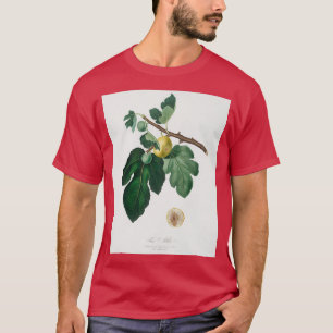 Fig Ficus carica from Pomona Italiana 1817 1839 T-Shirt