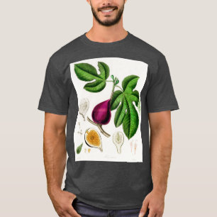 Fig Ficus carica illustration from Medical Botany T-Shirt