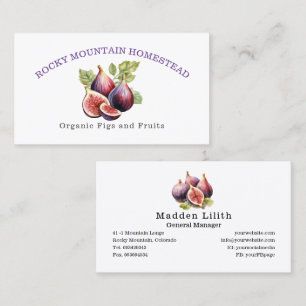 Fig Fruit Organic Botanical Illustration Business Card
