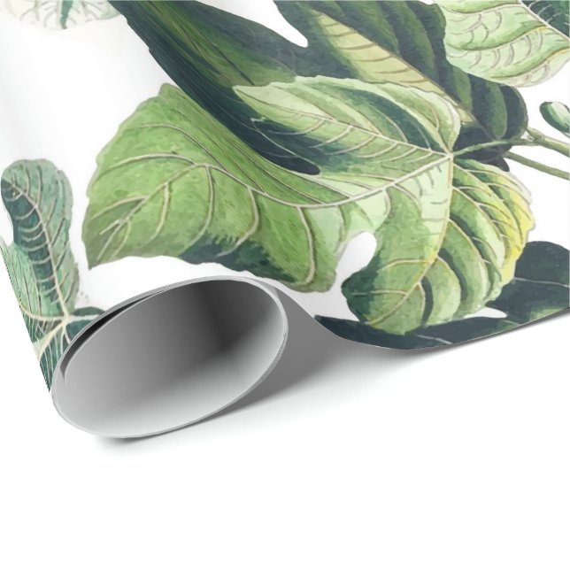 Fig Garden Wrapping Paper (Roll Corner)