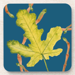 Fig Leaves on a Coasters Set of 6