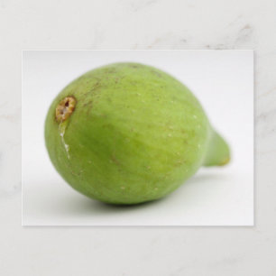 Fig Postcard