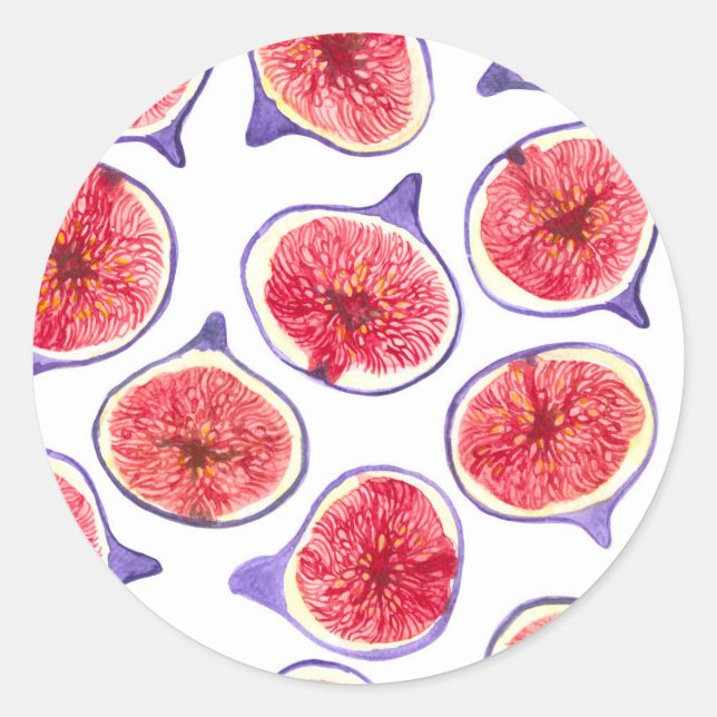 Fig slices watercolor classic round sticker (Front)