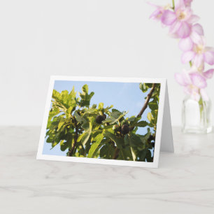 Fig Tree, Blue Sky Portrait Card