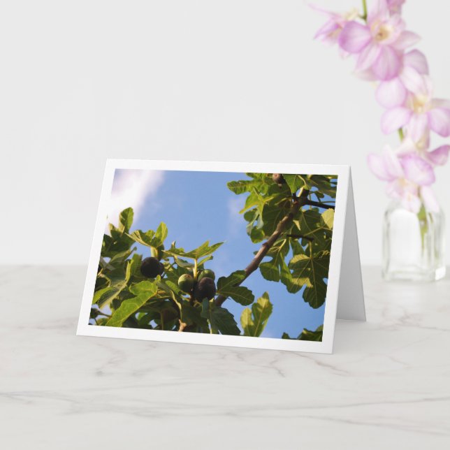Fig Tree, Blue Sky Portrait Card (Orchid)