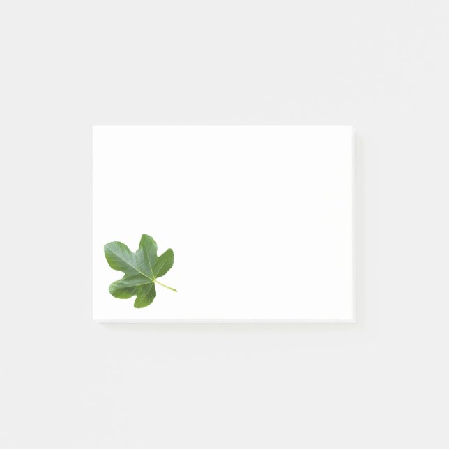 Fig tree Single Green leaf closeup isolated Post-it Notes (Front)