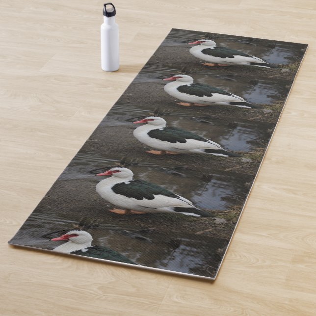 Figgy Yoga Mat (In Situ)