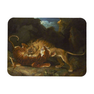 Fight Between a Lion and a Tiger Magnet