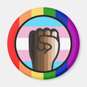 Fight Injustice Embrace Equality Magnet