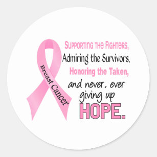 Fighters Survivors Taken Pink Ribbon Breast Cancer Classic Round Sticker