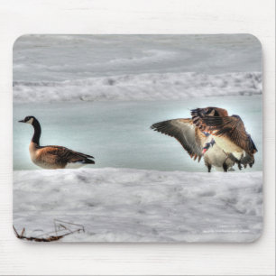 Fighting Canada Geese & Snow Wildlife Photo Mouse Mat