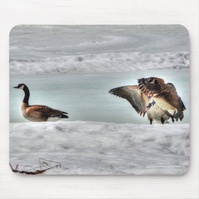 Fighting Canada Geese & Snow Wildlife Photo Mouse Mat (Front)
