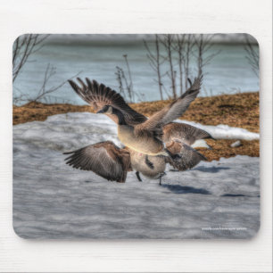 Fighting Canada Geese & Snow Wildlife Photo Mouse Mat