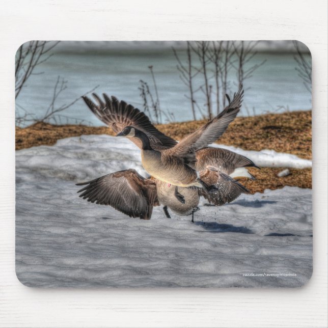 Fighting Canada Geese & Snow Wildlife Photo Mouse Mat (Front)